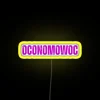 Customizable Oconomowoc WI Local Business Wisconsin Artwork Colored Neon Sign Display
