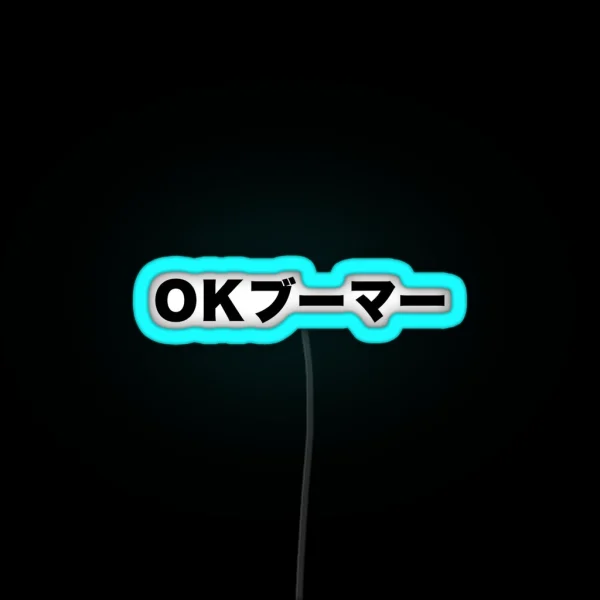 OK Boomer Japanese RGB Neon Sign