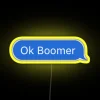 Modern OK Boomer statement wall decor with vibrant RGB neon lighting