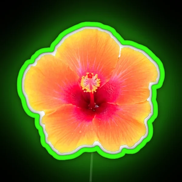 Orange Hibiscus RGB Neon Sign
