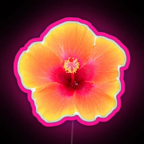 Orange Hibiscus RGB Neon Sign