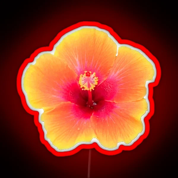 Orange Hibiscus RGB Neon Sign