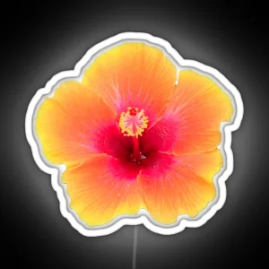 Orange Hibiscus RGB Neon Sign