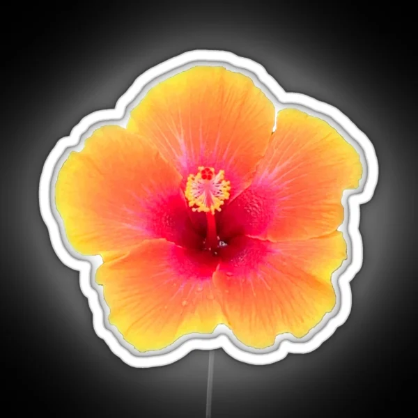 Orange Hibiscus RGB Neon Sign