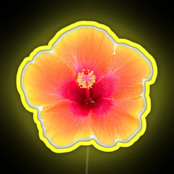 Orange Hibiscus RGB Neon Sign