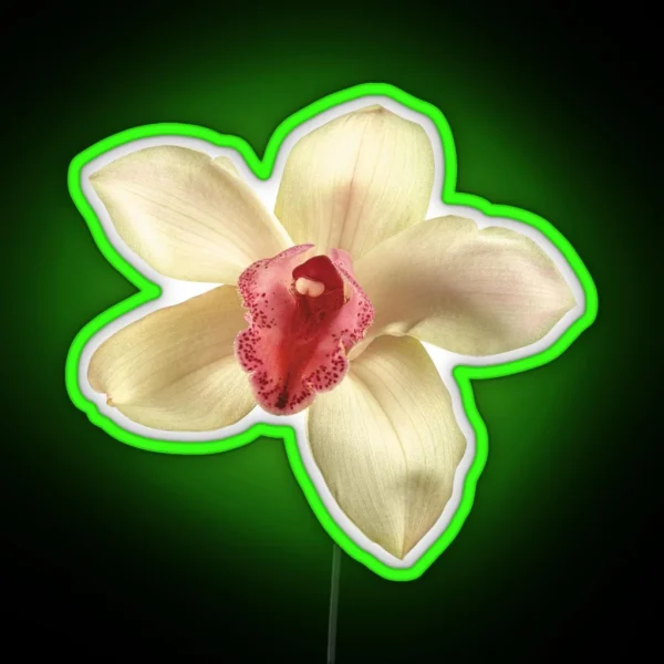 Orchid Flower RGB Neon Sign