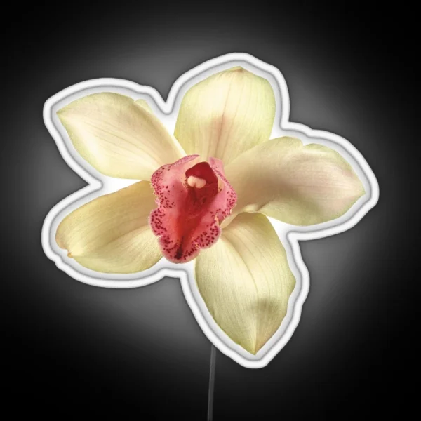 Orchid Flower RGB Neon Sign