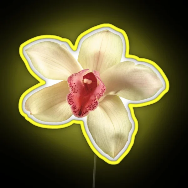 Orchid Flower RGB Neon Sign