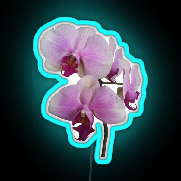 Orchid Orgy2 RGB Neon Sign
