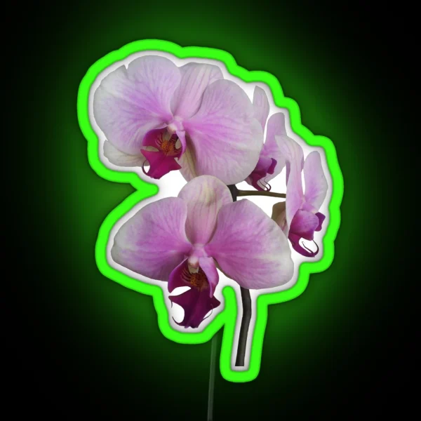 Orchid Orgy2 RGB Neon Sign