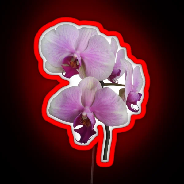 Orchid Orgy2 RGB Neon Sign
