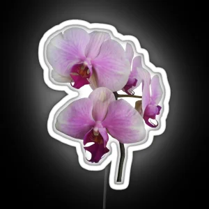 Orchid Orgy2 RGB Neon Sign