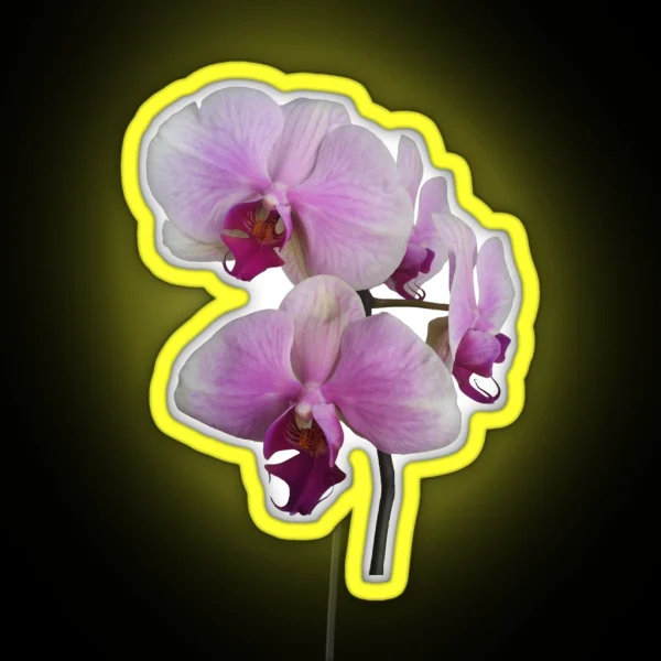 Orchid Orgy2 RGB Neon Sign