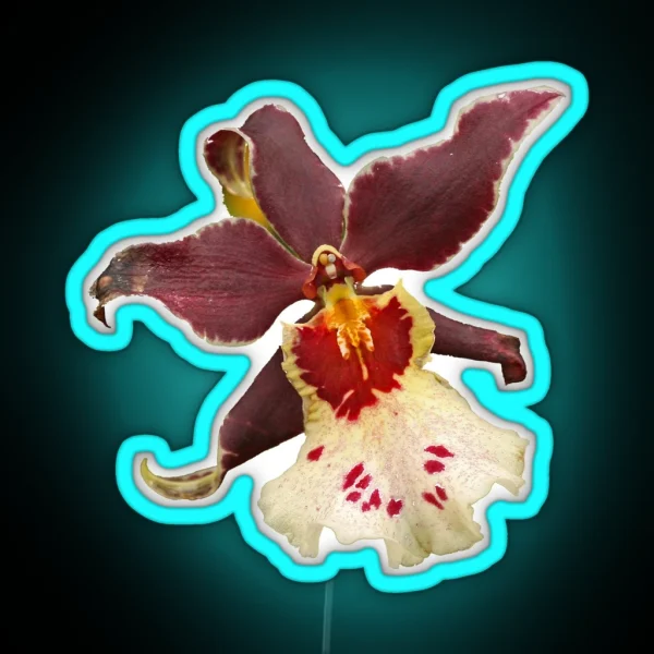 Orchid RGB Neon Sign