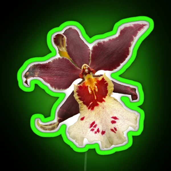 Orchid RGB Neon Sign