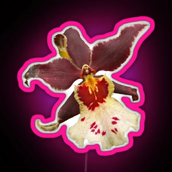 Orchid RGB Neon Sign