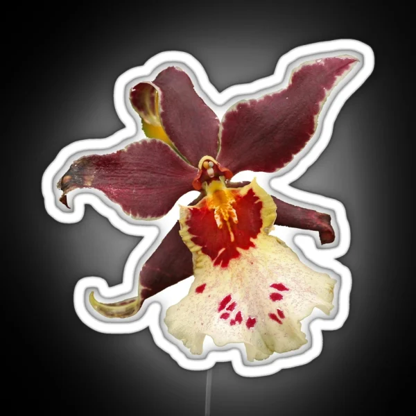 Orchid RGB Neon Sign