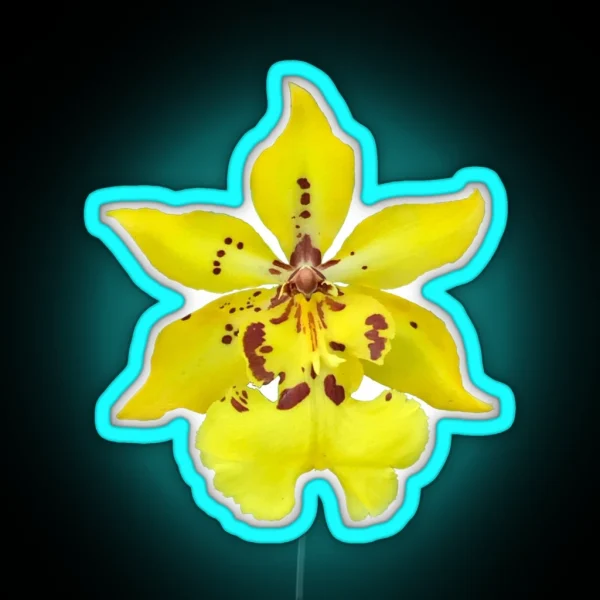 Orchid RGB Neon Sign