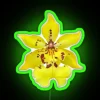 Modern decorative neon orchid wall art with color changing LED lighting