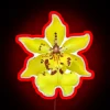 Elegant orchid design in vibrant color-changing RGB neon light art.