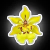 Vibrant glowing orchid illuminated in full color with neon lights.