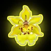 Vibrant Color Changing LED Neon Sign with Unique Orchid Design