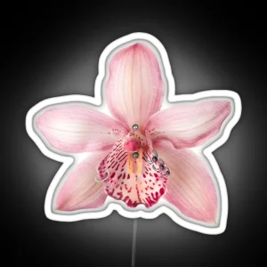 Orchid With Piercings RGB Neon Sign