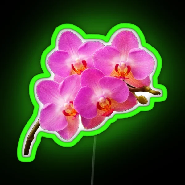 Orchidae RGB Neon Sign