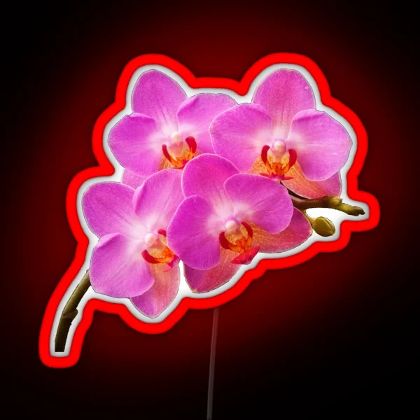 Orchidae RGB Neon Sign