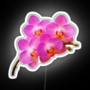 Orchidae RGB Neon Sign