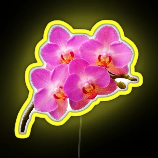 Orchidae RGB Neon Sign