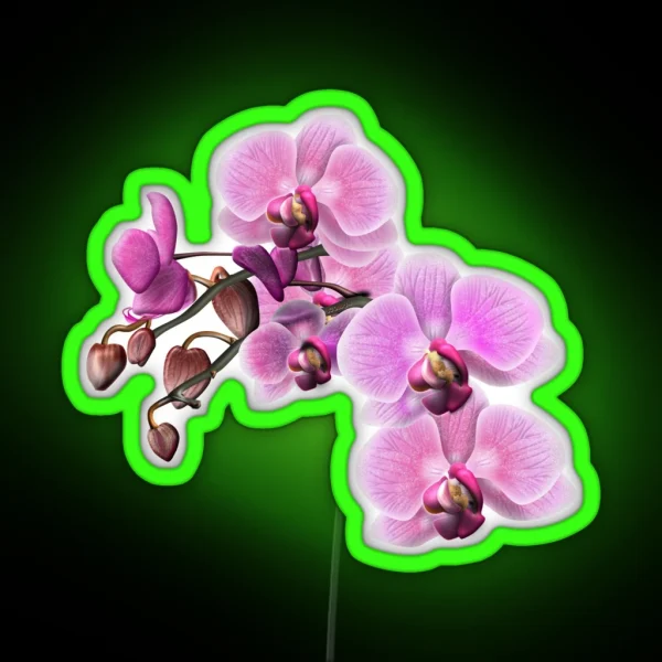 Orchids In Bloom RGB Neon Sign