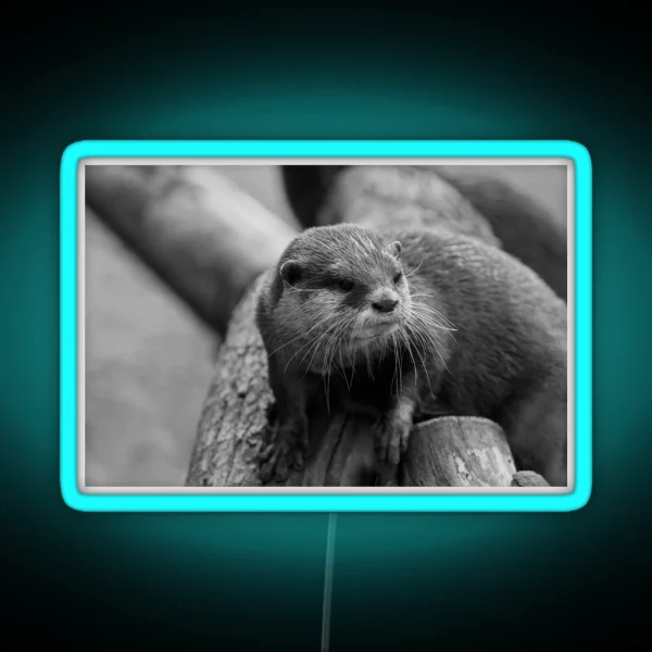 Otter Whiskers RGB Neon Sign