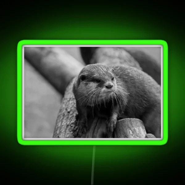 Otter Whiskers RGB Neon Sign