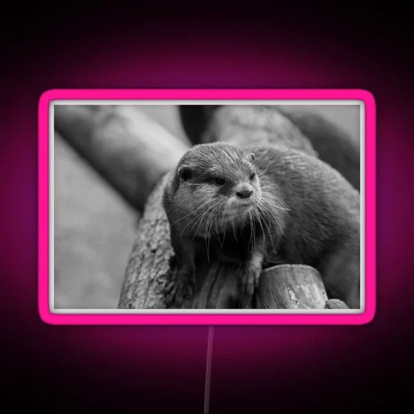 Otter Whiskers RGB Neon Sign