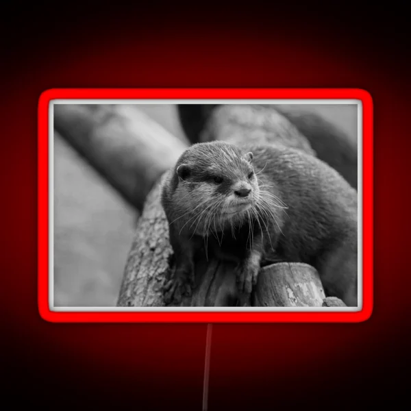 Otter Whiskers RGB Neon Sign