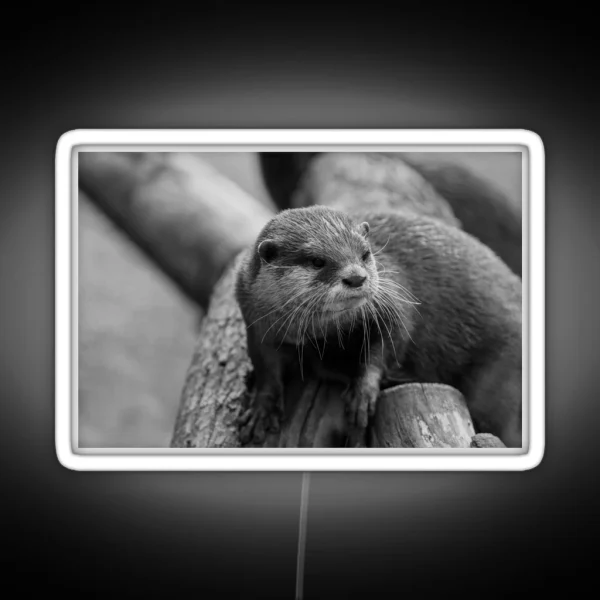 Otter Whiskers RGB Neon Sign