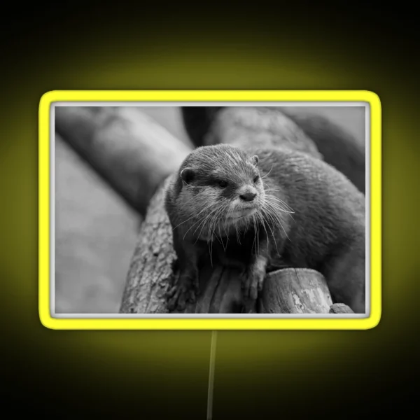 Otter Whiskers RGB Neon Sign