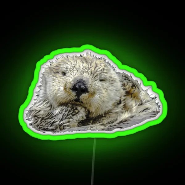 Otterly Blissful RGB Neon Sign