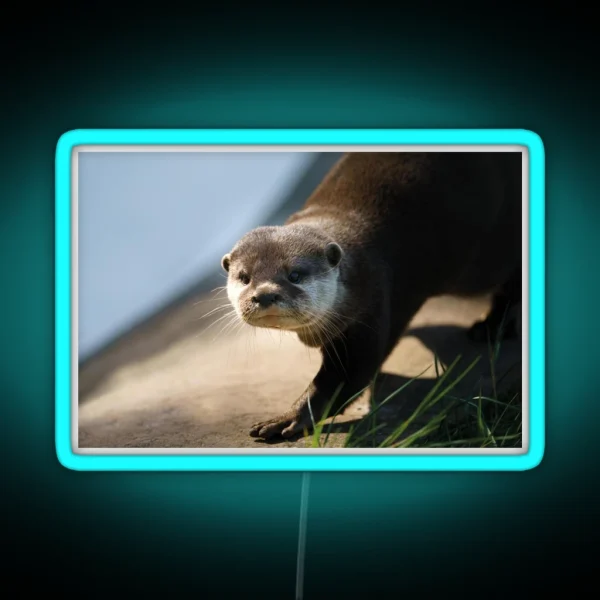 Otterly Close RGB Neon Sign