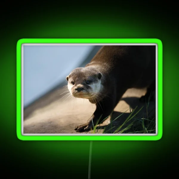 Otterly Close RGB Neon Sign
