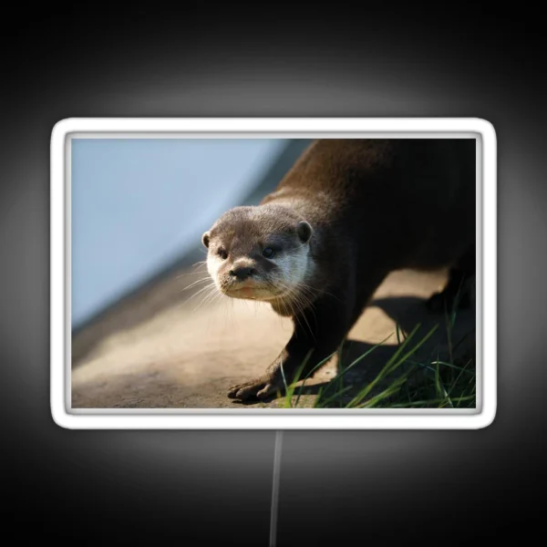 Otterly Close RGB Neon Sign