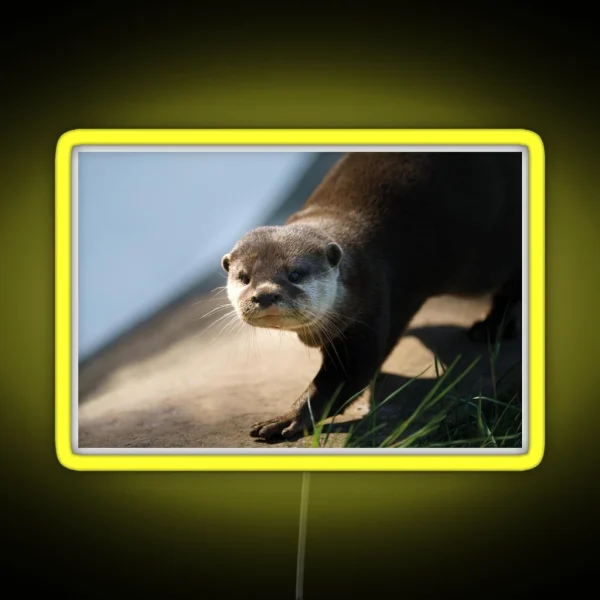 Otterly Close RGB Neon Sign