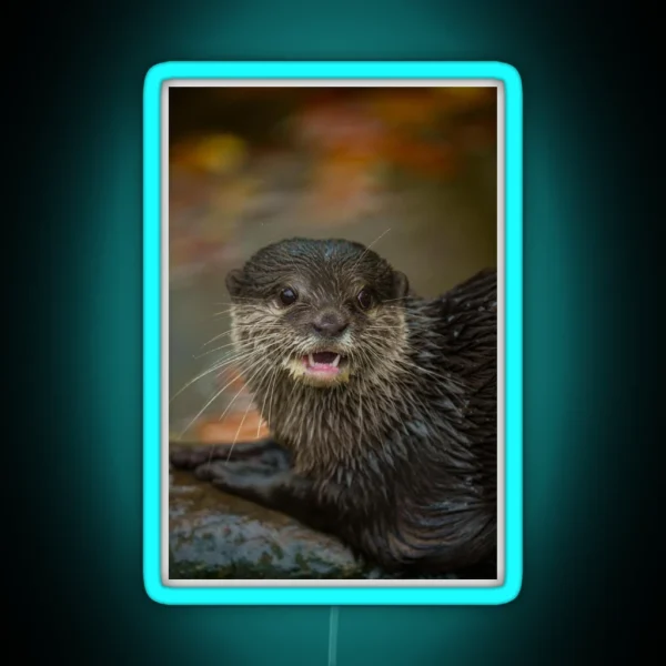 Otterly Surprised RGB Neon Sign