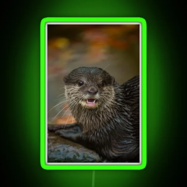 Otterly Surprised RGB Neon Sign