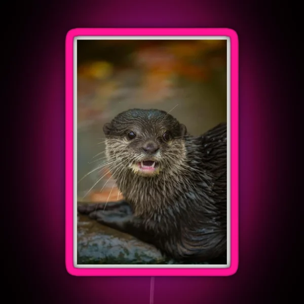 Otterly Surprised RGB Neon Sign