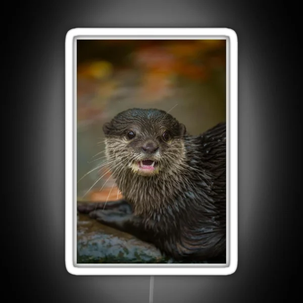 Otterly Surprised RGB Neon Sign