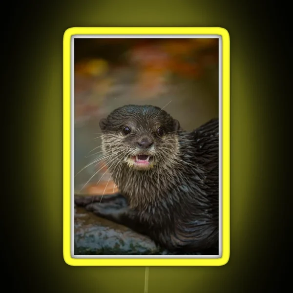 Otterly Surprised RGB Neon Sign