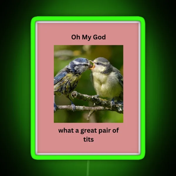 Pair Of Great Tits RGB Neon Sign