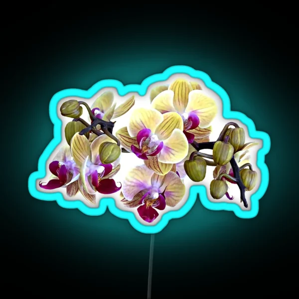 Pale Yellow And Magenta Phalaenopsis Orchids RGB Neon Sign